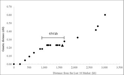 Genetic mapping of the LOSS OF PARTHENOGENESIS locus in Pilosella piloselloides and the evolution of apomixis in the Lactuceae